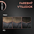 Farba na vlasy Permanent Color - 4-15 popolavý chróm syoss