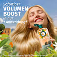 Shampoo Dolce Vita Herbal Essences