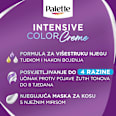 Boja za kosu – 10-19  hladna srebrno- plava Palette INTENSIVE COLOR CREME