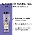 Blonde Hair Perfector šampon za kosu Schwarzkopf GLISS