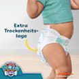 Windeln Baby Dry Gr.5 (11-16 kg) Limited Edition Paw Patrol, Monatsbox Pampers baby-dry