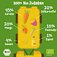 Quetschie Karotte, Süßkartoffel, Mango & Pastinake ab 6 Monaten pumpkin organics