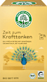 Kurkuma & Kraft Bio-Früchtetee LEBENSBAUM