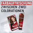Farb-Glanzbehandlung Glossing Kupfer Schwarzkopf Brillance