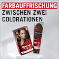 Farb-Glanzbehandlung Glossing Hellbraun Schwarzkopf Brillance
