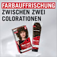 Glossing Schokobraun Schwarzkopf Brillance