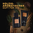 Geschenkset Bold Instinct Eau de Parfum 2tlg DAVID BECKHAM