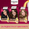 Боя за коса - Nr. 3-65 (750)  Palette DELUXE