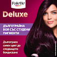 Боя за коса - Nr. 4-99 (880) Патладжан Palette DELUXE