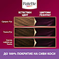 Боя за коса - Nr. 4-99 (880) Патладжан Palette DELUXE