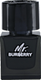 Mr. BURBERRY EdP - muški BURBERRY