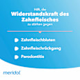Zahnpasta Parodont Expert meridol