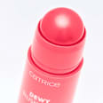 Blush Stick Dewy 010 Sheen On You CATRICE