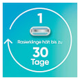 Rasierer, Smooth Starterset Gillette Venus