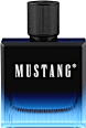 Toaletna voda za moške Blue Signature MUSTANG