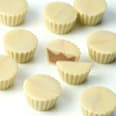 Protein Mini Cups, Haselnuss-Milchcreme-Geschmack Sportness