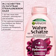 Shampoo Traube Hydraboost Wahre Schätze