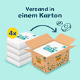 Windeln New Baby Gr. 2 Mini (4-8 kg) Monatsbox Pampers premium protection