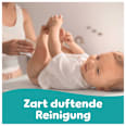 Feuchttücher Fresh & Clean (4x80 St) Pampers