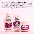 Shampoo Traube Hydraboost Wahre Schätze