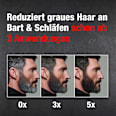 Shampoo Grey Attack Bart & Schläfen Color Booster Alpecin
