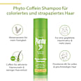 Shampoo Phyto-Coffein, coloriertes & strapaziertes Haar Plantur 39