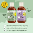 Hundeshampoo Kurzhaar Petchen