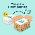 Baby Pants Gr. 6 Extra Large (13-19 kg) Monatsbox Pampers premium protection