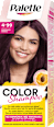barvicí šampon na vlasy 4-99 Bordó Palette COLOR Shampoo