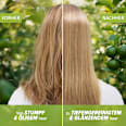 Conditioner Limettenduft, Tiefenreinigung & Glanz Herbal Essences