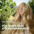 Conditioner Limettenduft, Tiefenreinigung & Glanz Herbal Essences