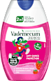 Pasta do zębów dla dzieci Junior Strawberry Vademecum