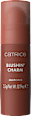 Fard obraz stick Blushin' Charm 060 CATRICE