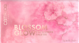 Lidschatten & Rouge Palette Blossom Glow CATRICE