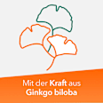 Ginkobil ratiopharm 120 mg Ginkgo-biloba-Blätter-Trockenextrakt Filmtabletten Ginkobil