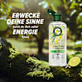 Shampoo Limettenduft, Tiefenreinigung & Glanz Herbal Essences