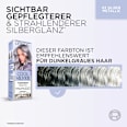 Haartönung Cool Silver 03 Silber Metallic L'ORÉAL PARIS COOL SILVER
