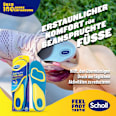 Gel Einlegesohlen Activ Everyday Gr. 35,5 - 40,5 Scholl