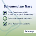 Nasenspray Schnupfen Spray tetesept