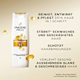 Shampoo & Conditioner & Haarkur 3in1 Repair & Care PANTENE PRO-V