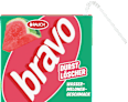 Erfrischungsgetränk Wassermelonen-Geschmack bravo
