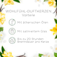 Duftkerze im Glas Sweet Vanilla Magic 105 g AirWick