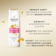 Shampoo Locken Pur PANTENE PRO-V