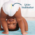 Windeln Premium Protection Gr. 0 Micro (<3 kg) Pampers