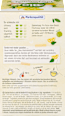 Früchtetee "Dein Glücksmoment" mit Zitronenöl (20 Beutel) dmBio
