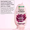Conditioner Hydraboost Traube Wahre Schätze