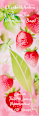 Eau de Toilette Green Tea Strawberry Basil Elizabeth Arden