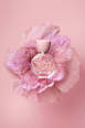 Eau de Toilette Blush Betty Barclay