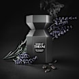 Eau de Parfum Epic Elegance  HOUSE OF THÊOM