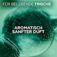 Antitranspirant Deo Roll-On Clinical Ultra Derma Dry L'ORÉAL PARiS MEN EXPERT